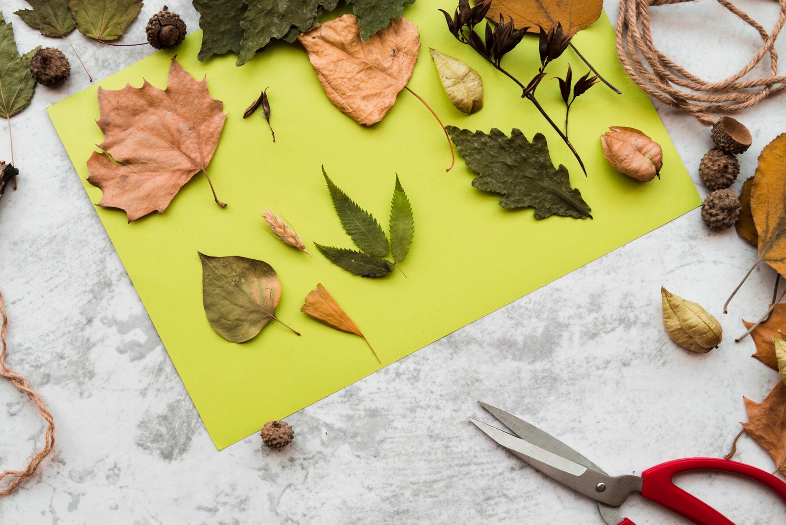 A table filled with nature's treasures—colorful leaves, smooth stones, and twigs—being transformed into beautiful art pieces.